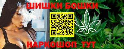 спиды Моздок