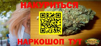 Альфа ПВП Можга