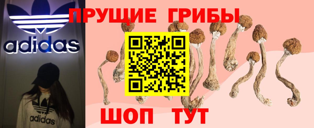 Псилоцибиновые грибы Psilocybe  Галлюциногенные грибы мухоморы  Вход с VPN  Горно-Алтайск 